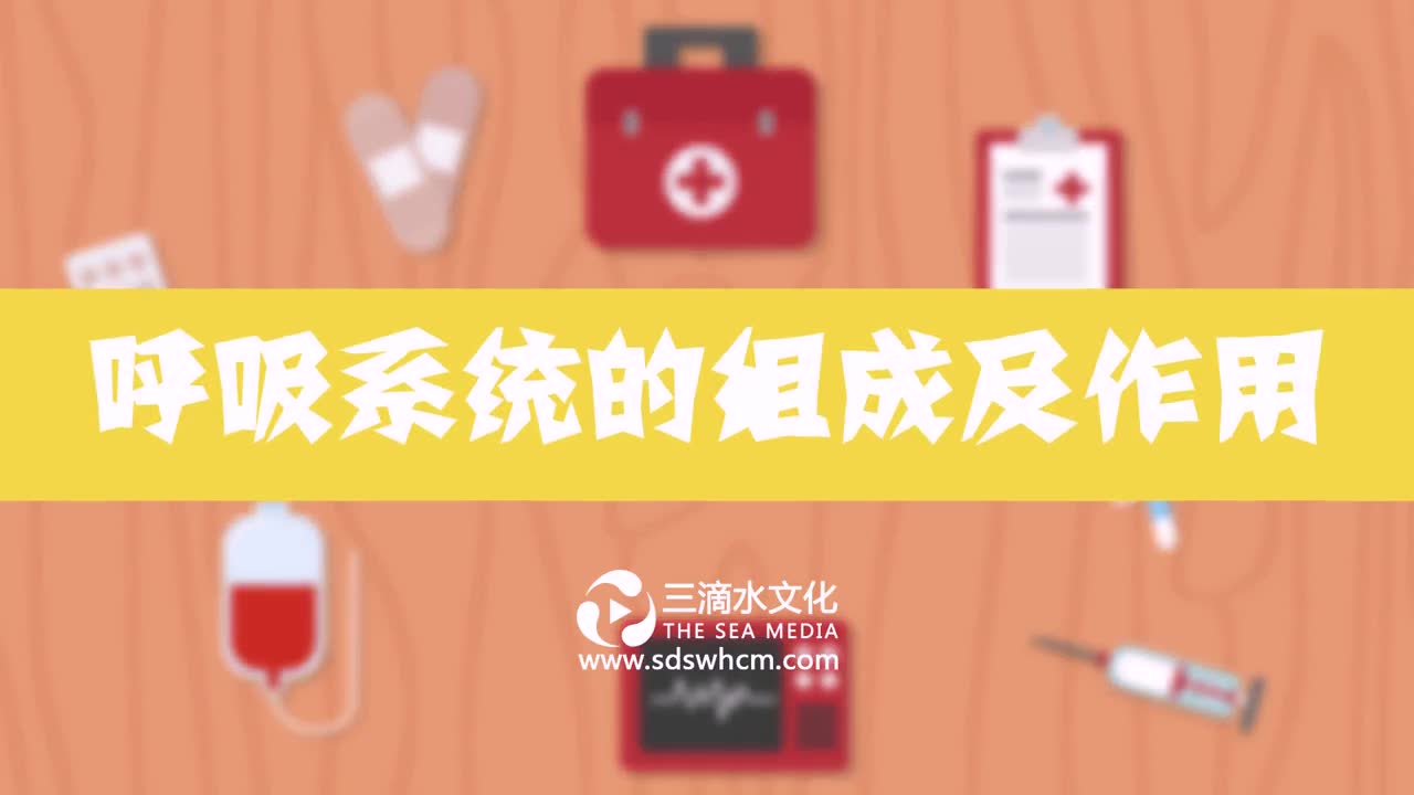 醫(yī)療動(dòng)畫(huà)制作時(shí)應(yīng)該注意的關(guān)鍵問(wèn)題
